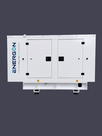 Energon 1000 kVA Diesel Generator